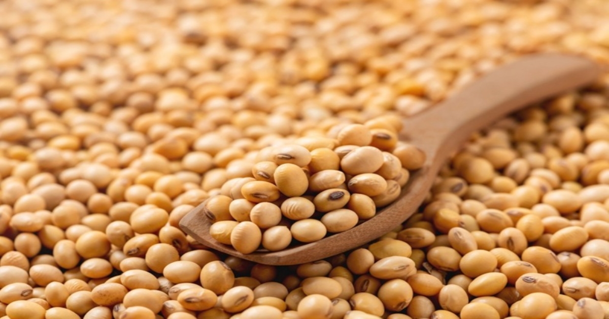 amazing-health-benefits-of-soybeans-protein-rich-superf