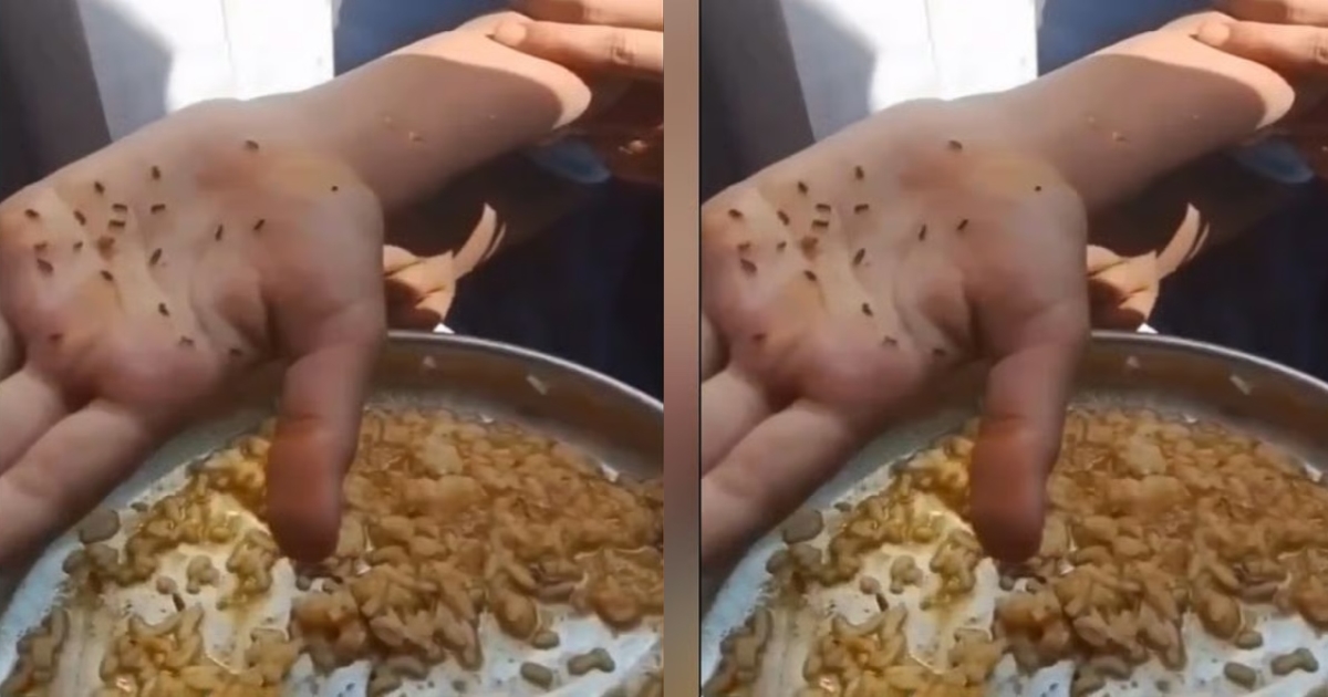 koppal-school-midday-meal-worms-video