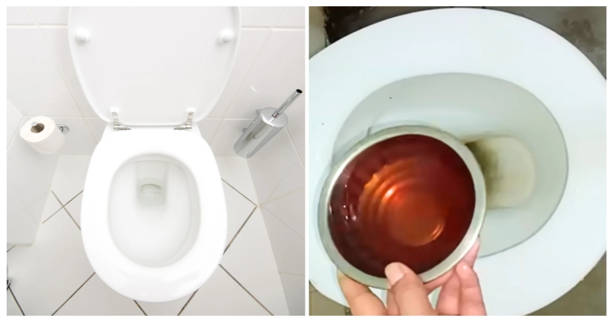 viral-toilet-cleaning-jugaad-natural-method