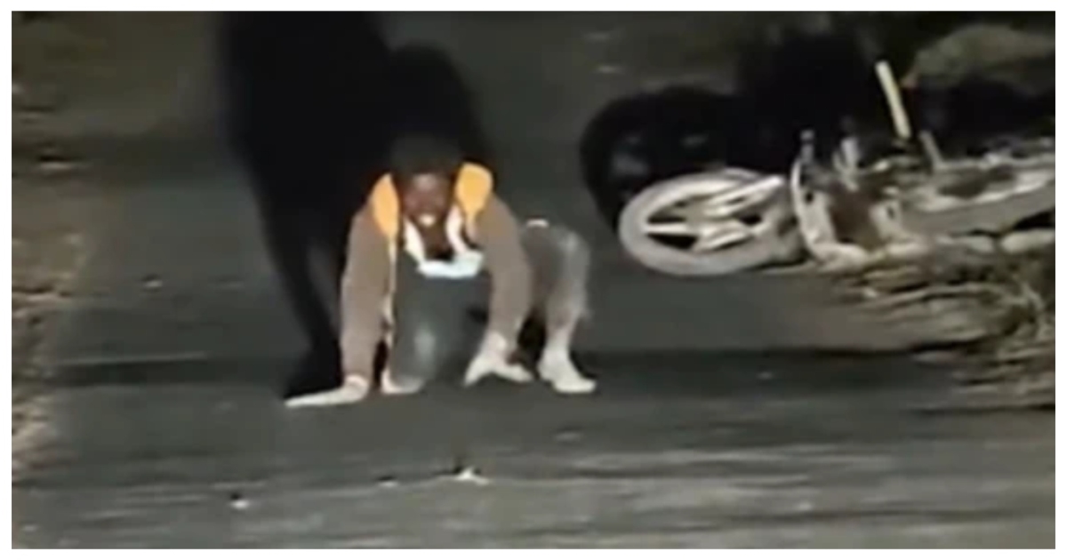 gujarat-dog-bite-viral-video-rabies-warning