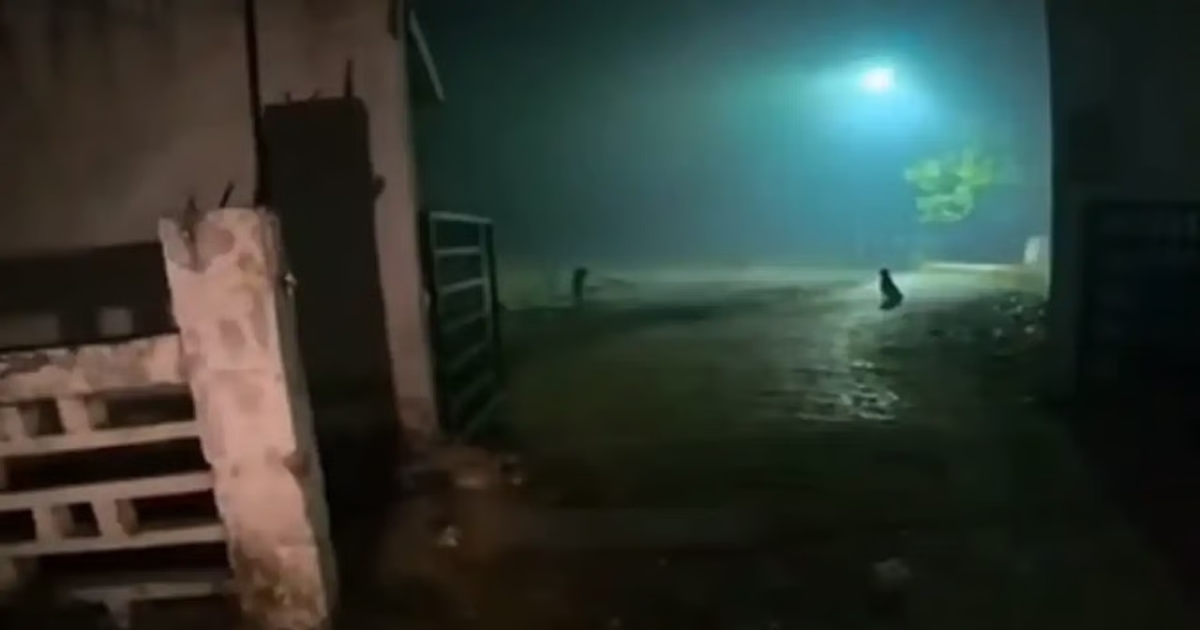 food-delivery-agent-refuses-graveyard-night-order-viral-video