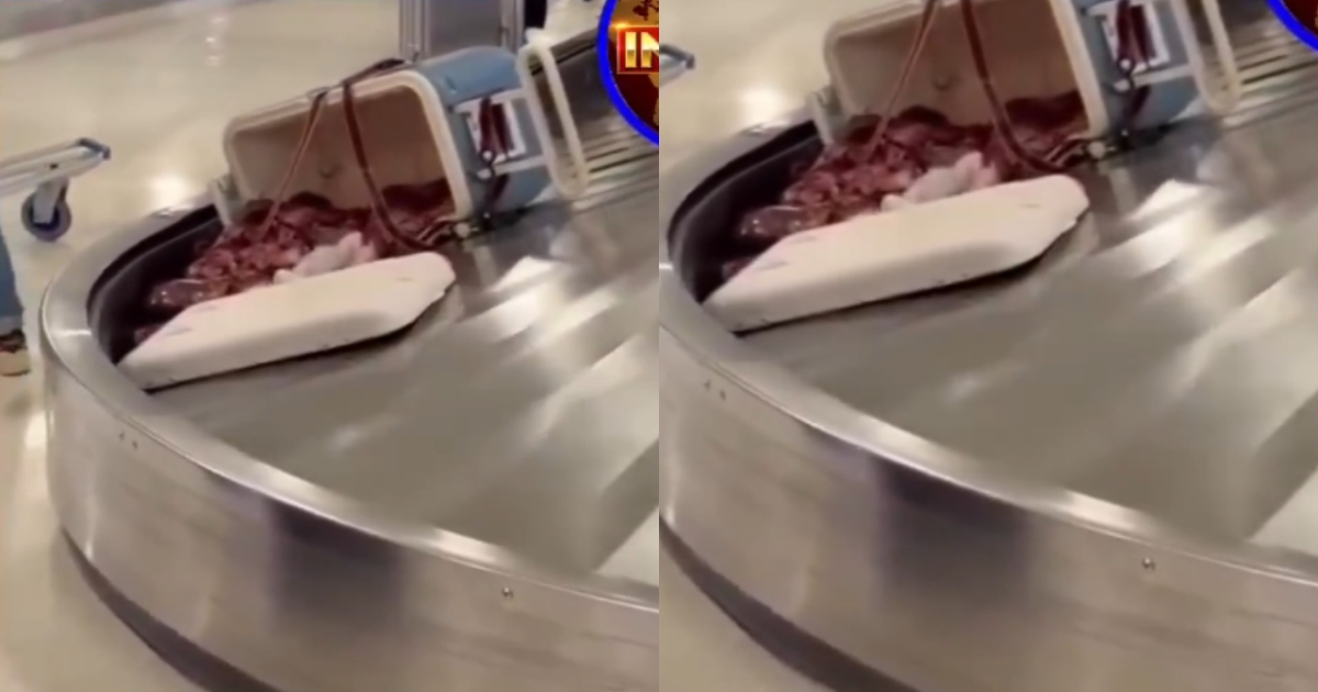 woman-arrested-suitcase-girl-body-shocking-case