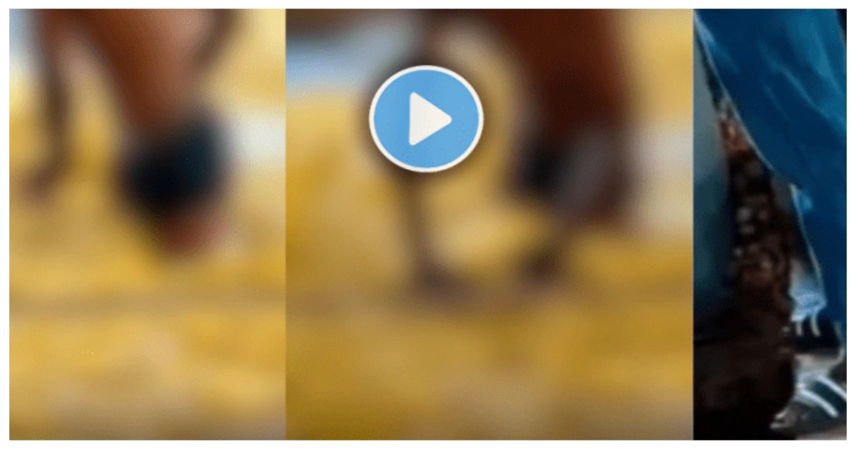 chips-warehouse-video-sparks-food-safety-concern