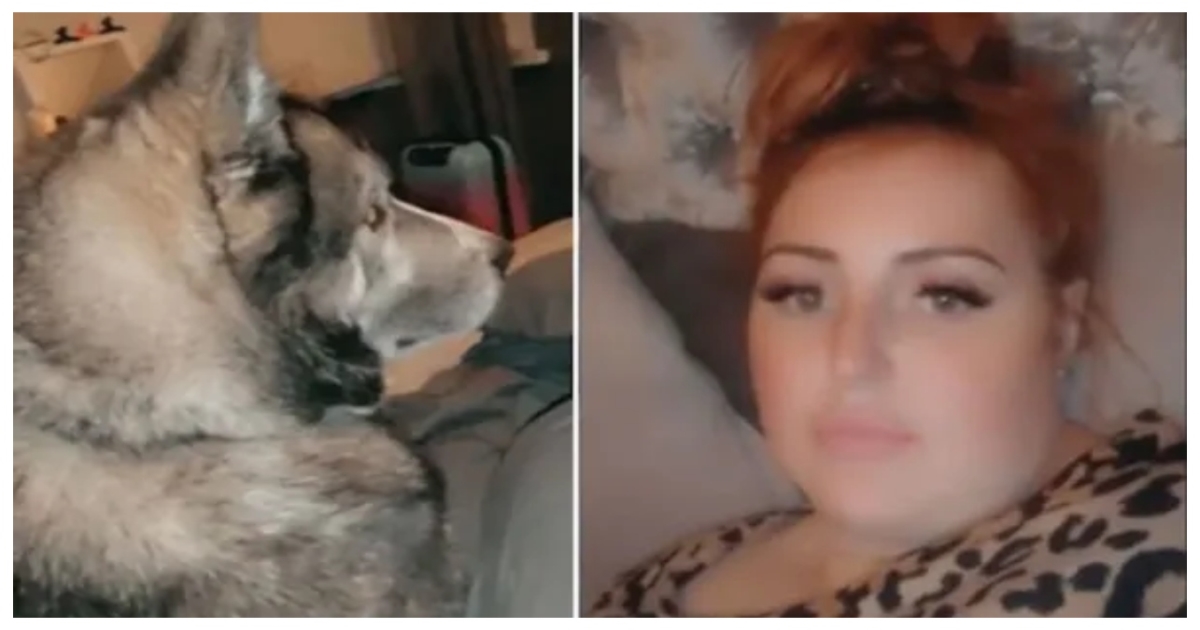 woman-wakes-up-stranger-nearby-midnight-shock