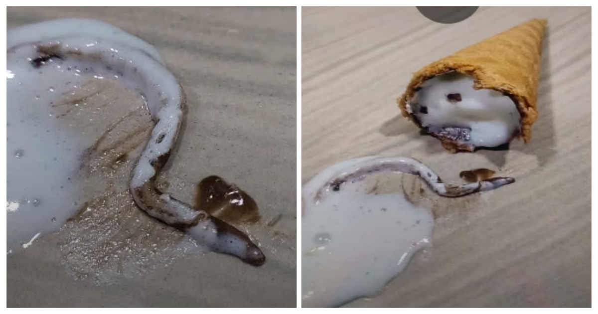 worm-found-in-packaged-ice-cream-cone-thane