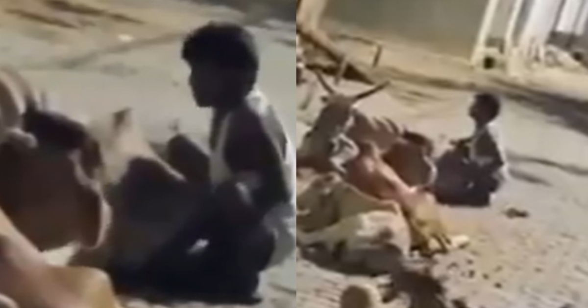 cow-abuse-video-amva-police-investigation