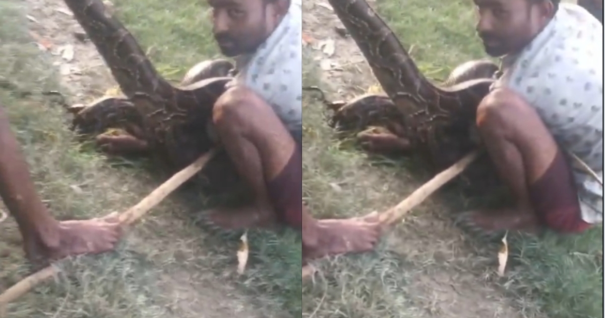 lakhimpur-kheri-python-attack-farmer-rescued