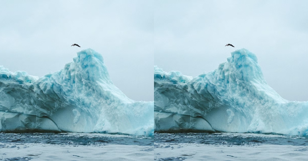 molly-carlson-iceberg-dive-record
