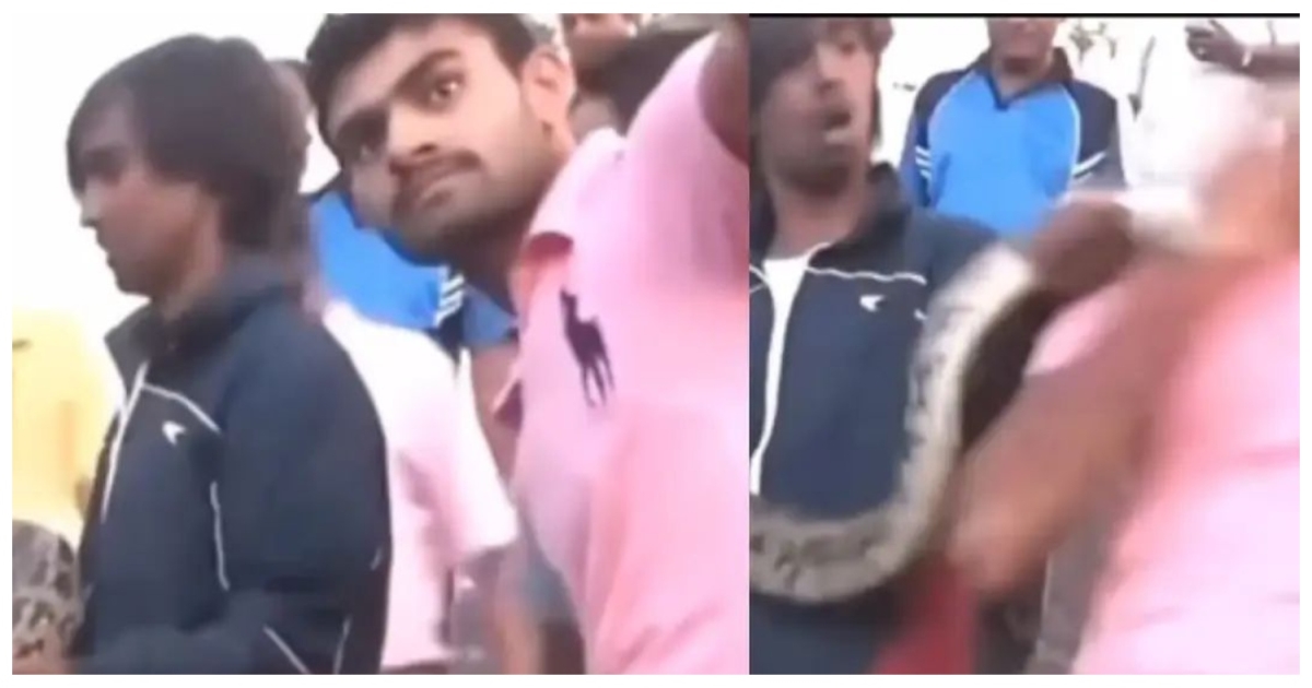 indian-python-bite-incident