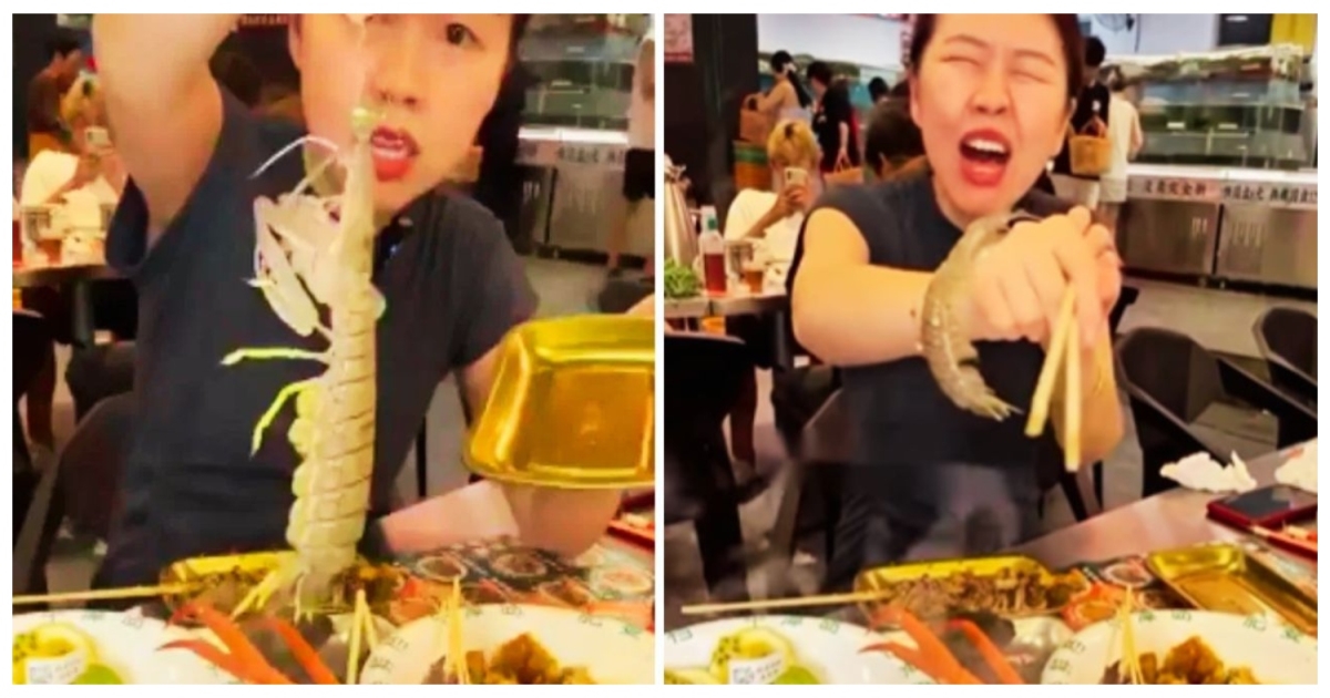 china-live-shrimp-revenge-video