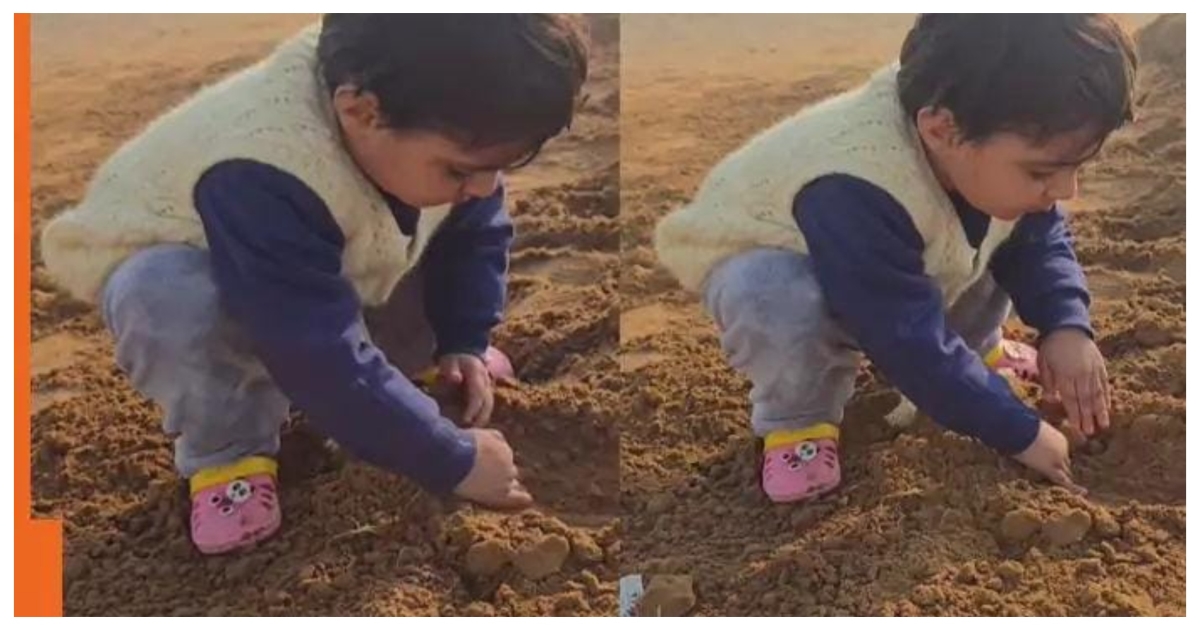 little-girl-candy-tree-viral-video