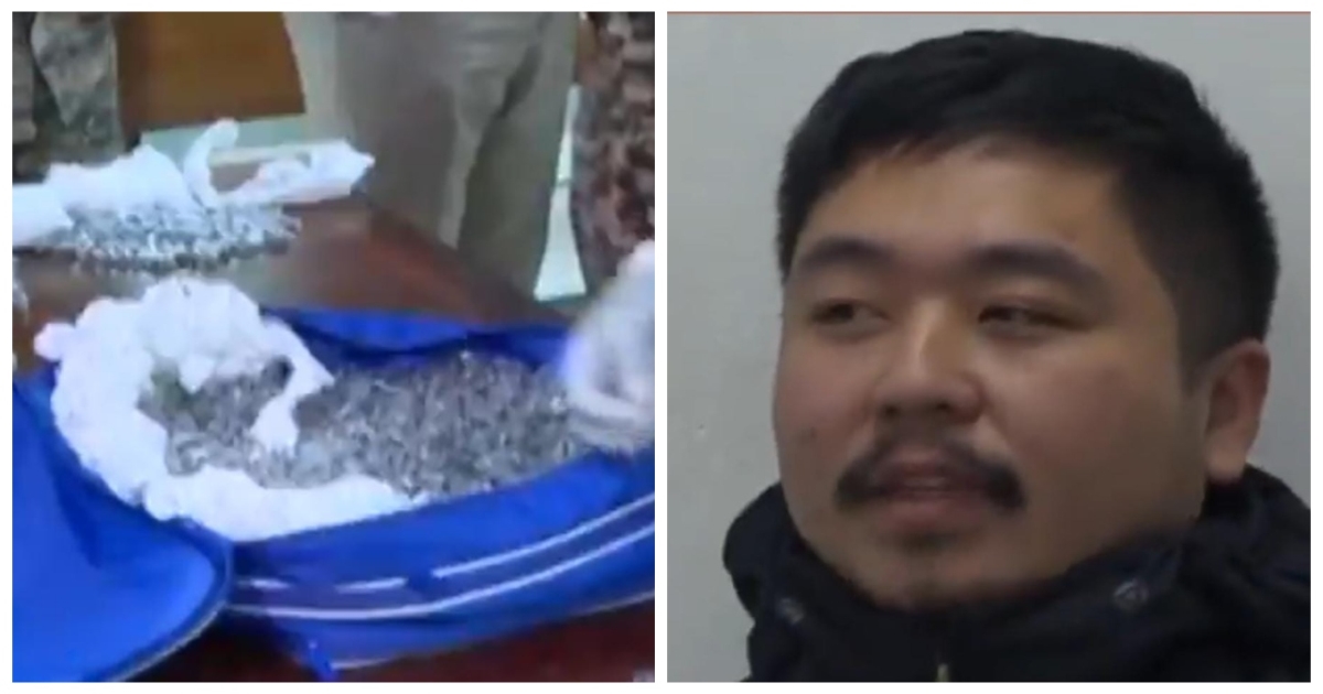 rare-ant-smuggling-arrest-international-shock