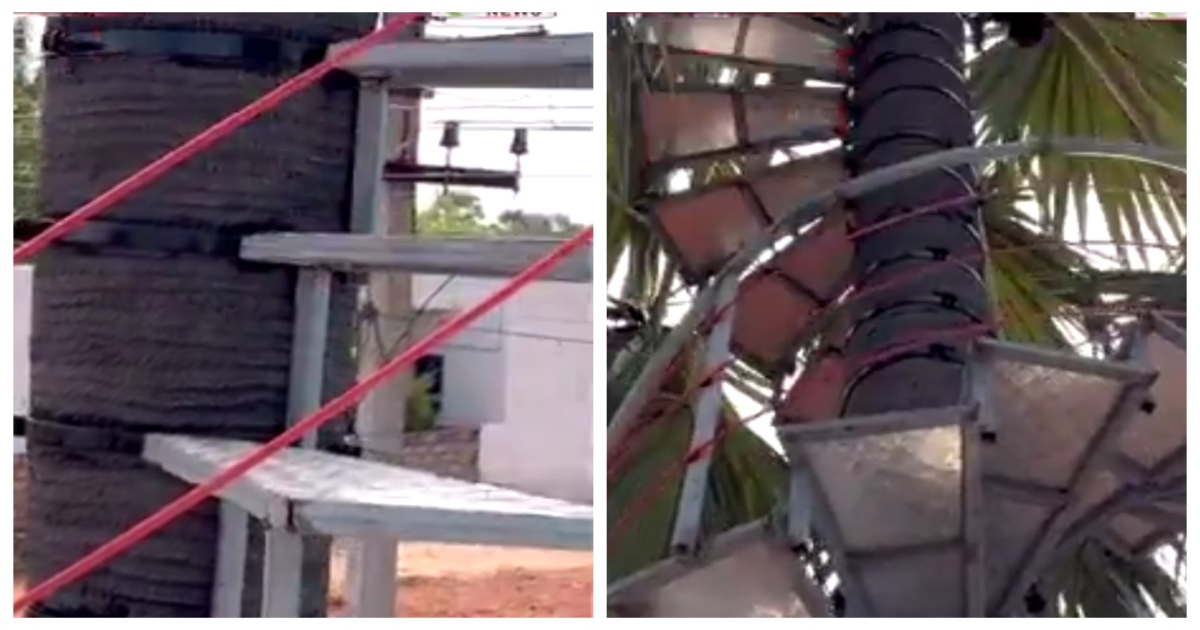 thoothukudi-palm-tree-stair-innovation