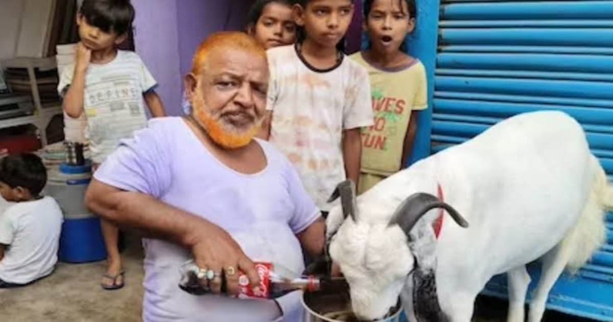 Bihar Lockdown Goat Drinks Coco Cola 