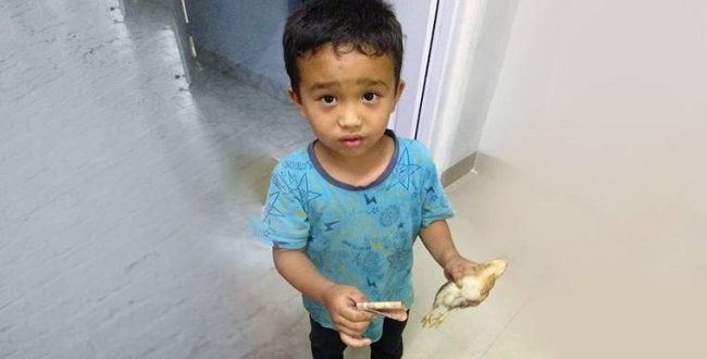 6-year-old-boy-took-chicken-to-hospital