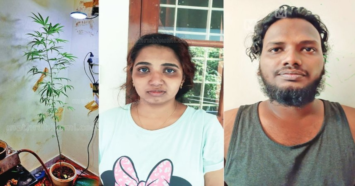 Kerala Kochi Love Couple Plant Cubbins in Kitchen Police Arrest 