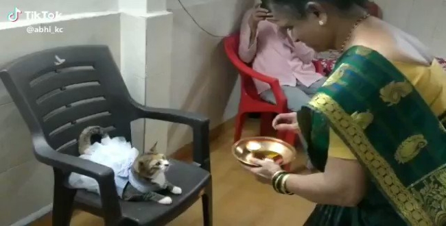 girl-done-poojaa-for-cat-video-goes-viral