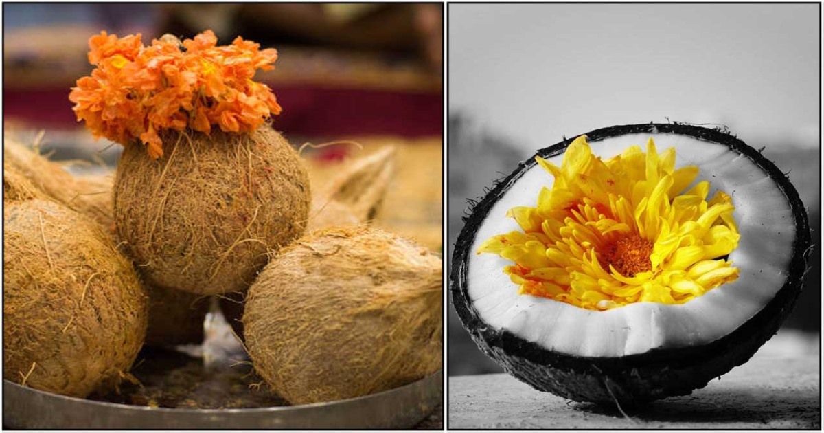 Temple coconut broken benefits