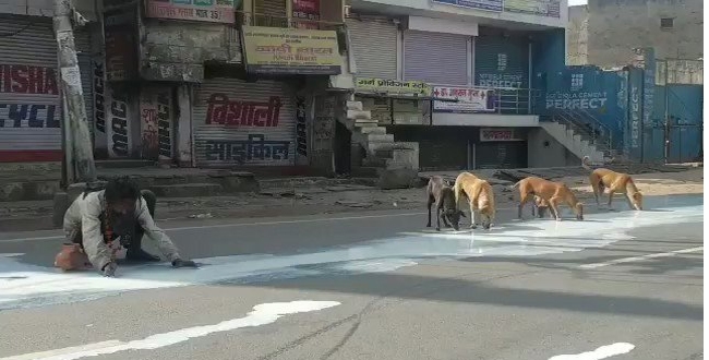 lockdown-impact-man-and-street-dogs-getting-milk-from-r
