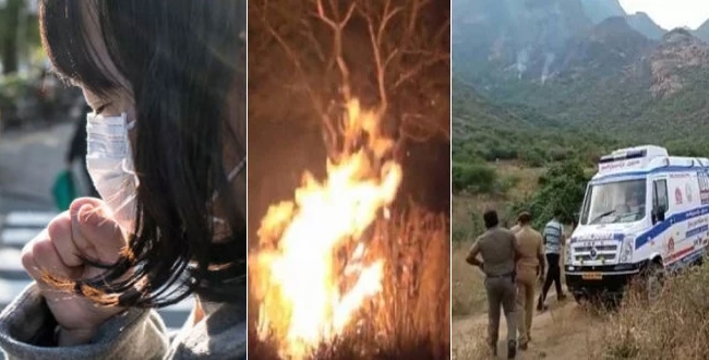 3 members died near theni in forest fire