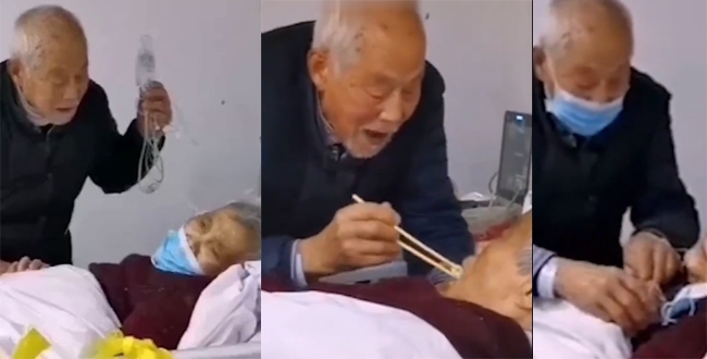 Old age husband feed food to wife at critical stage video