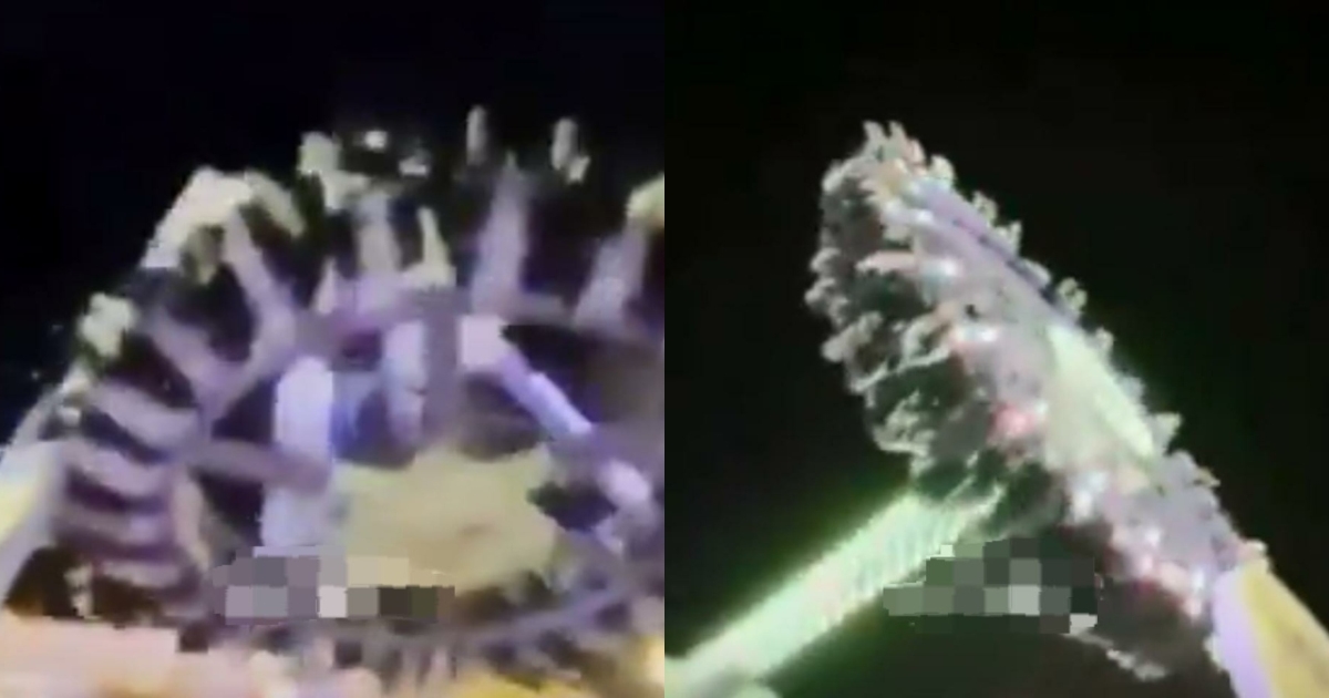 saudi-arabia-theme-park-ride-collapse