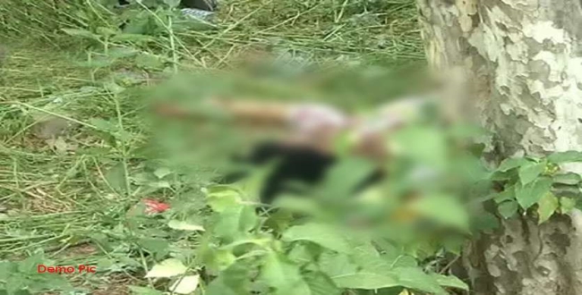 Kerala youth killed by tiger