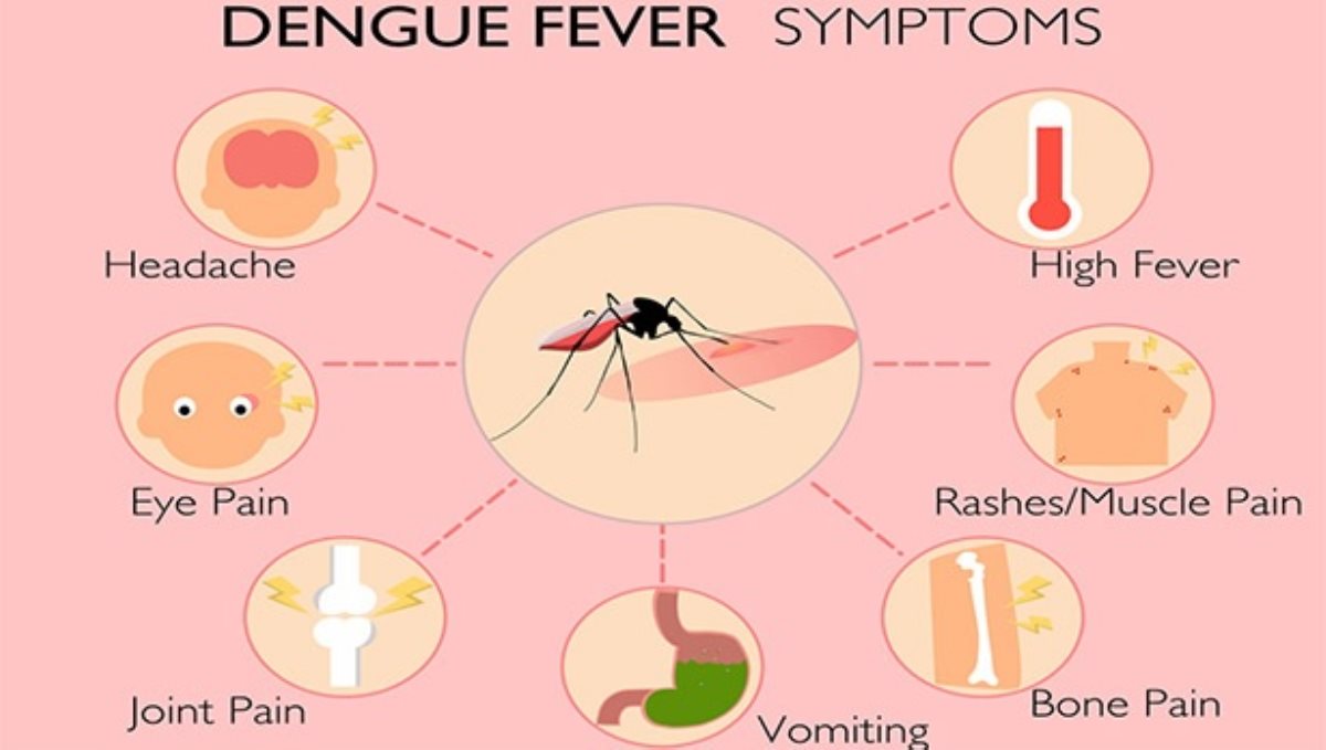 what-are-the-side-effects-of-dengue-virus-how-to-deal-w