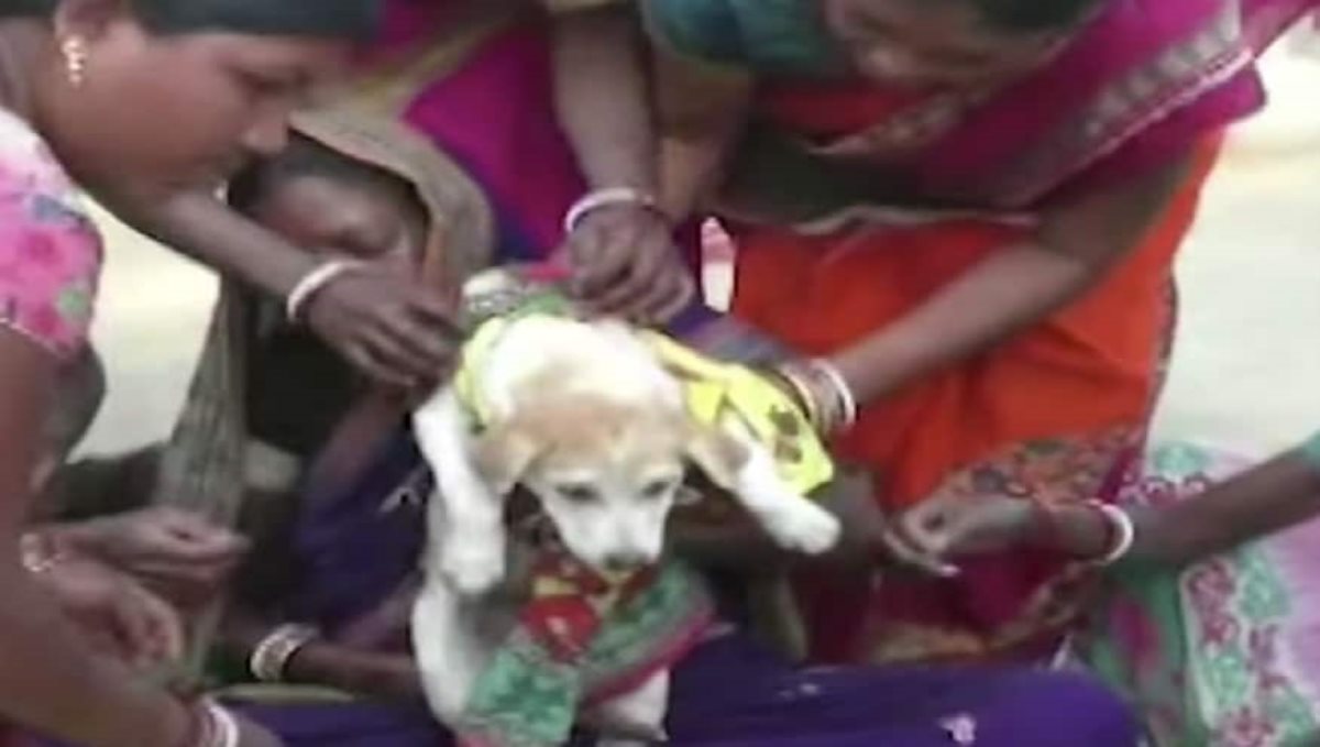 Boy marries dog near Odisha