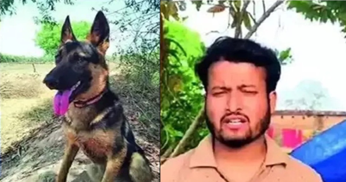mp dog bendho saved his owner life from tiger