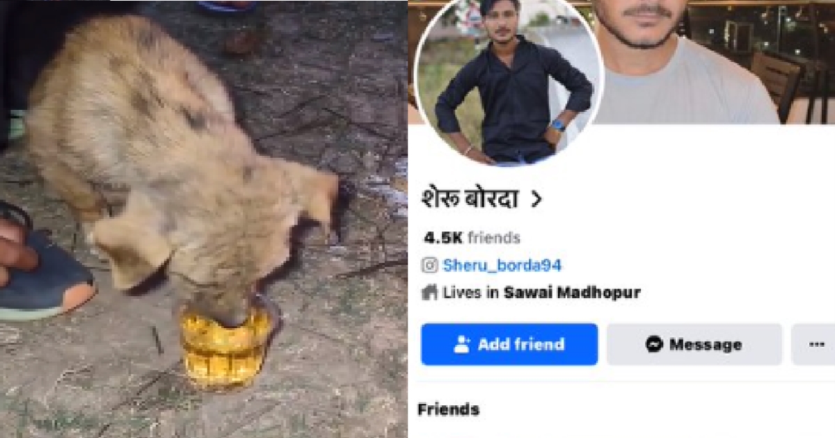 Rajasthan Man May Be Arrest by Cops After his Dog Drink Alcohol Video Viral 