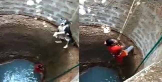 women saved dog from well