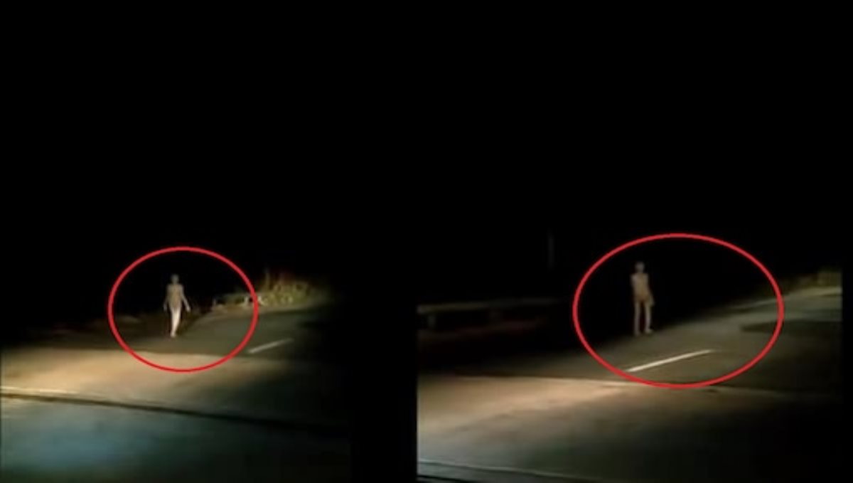 Fact check about alien roaming on road side