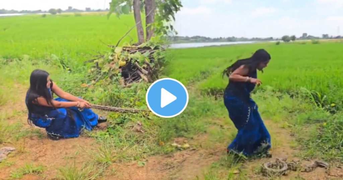brave-woman-rescues-king-cobra-video