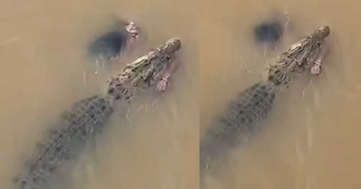 odisha-woman-attacked-by-crocodile
