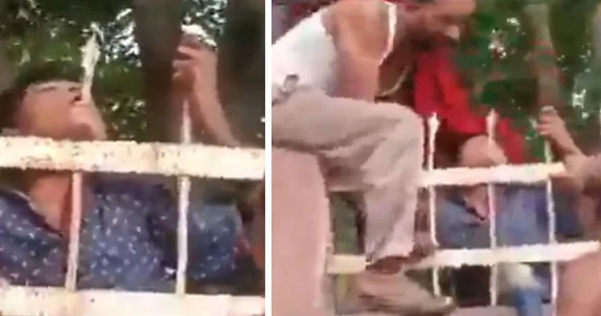 madhya-pradesh-boy-survives-iron-rod-accident