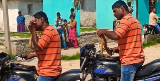 karnataka-man-bite-snake-video-goes-viral