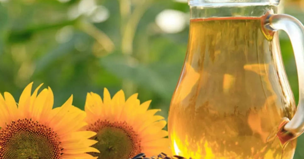 sunflower-oil-may-increase-the-risk-of-breast-cancer-sh