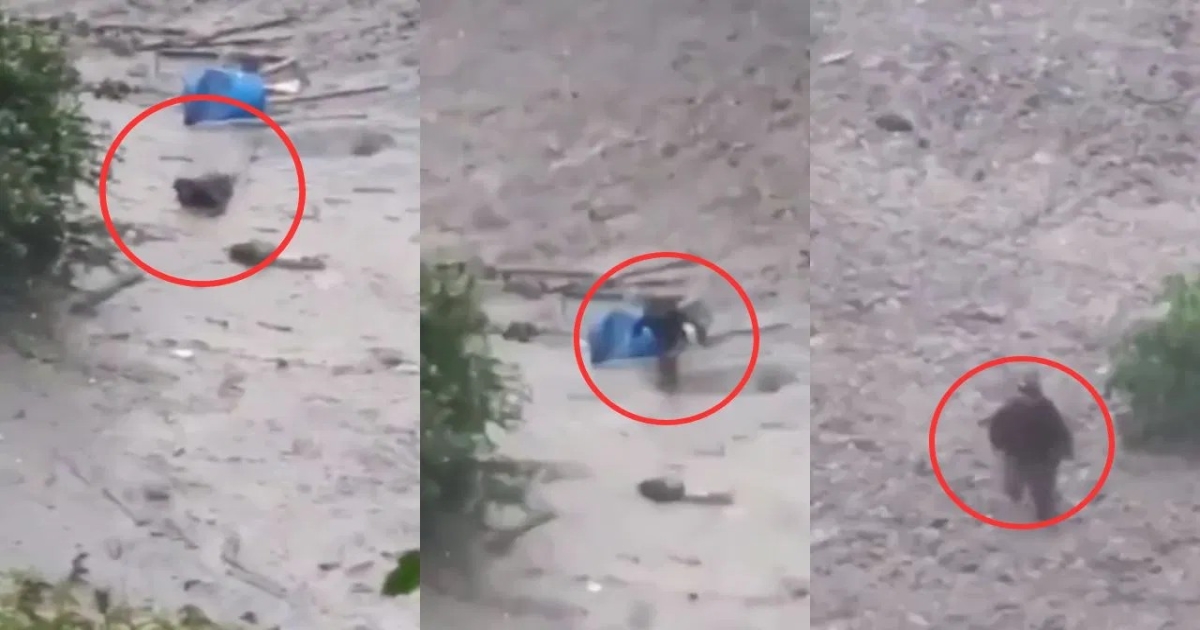 uttarakhand-tharali-cloudburst-video-rescue