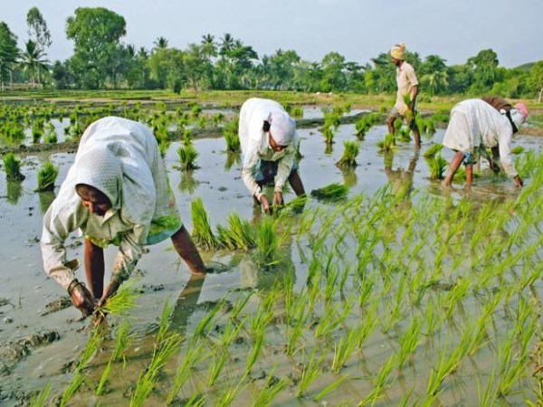 kumarasamy with farmers in karnataka