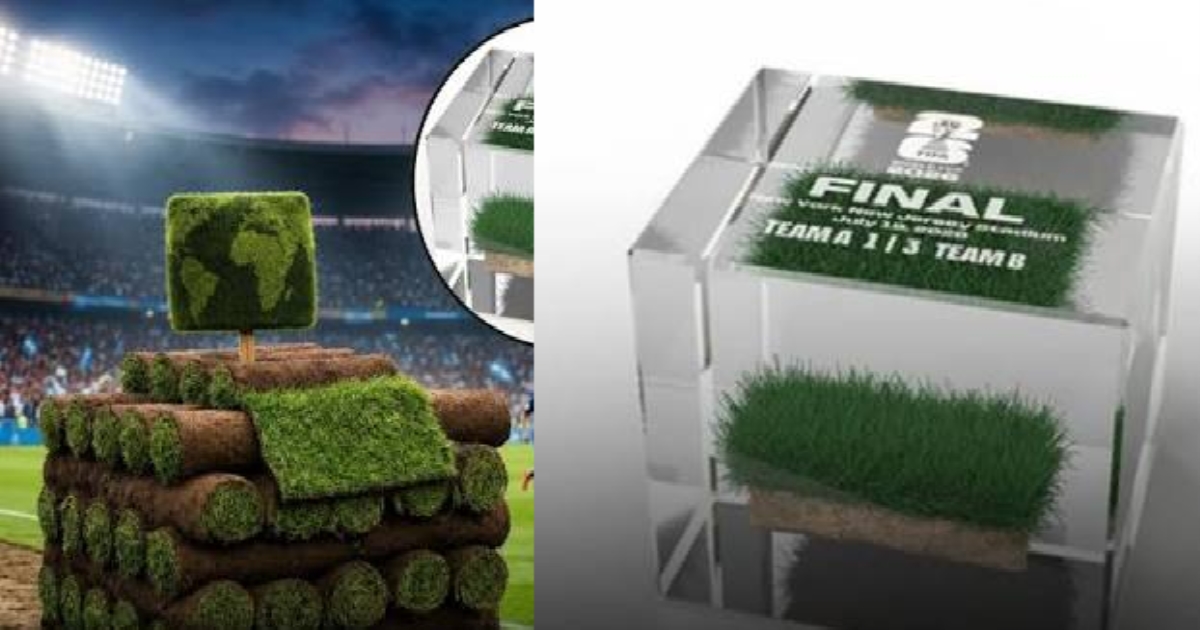  FIFA Sells World Cup Final Grass for Rs 43000
