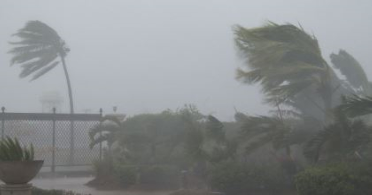 The Meteorological Department has said that a low pressure area has formed in the northwest of the Bay of Bengal.