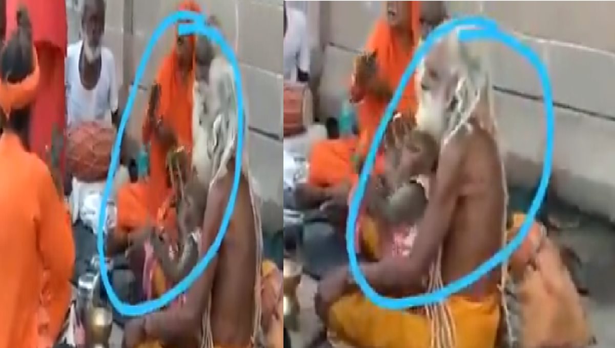 a Monkey Celebrate to Swing Instrument Hanuman Jayandhi Video Goes Viral 