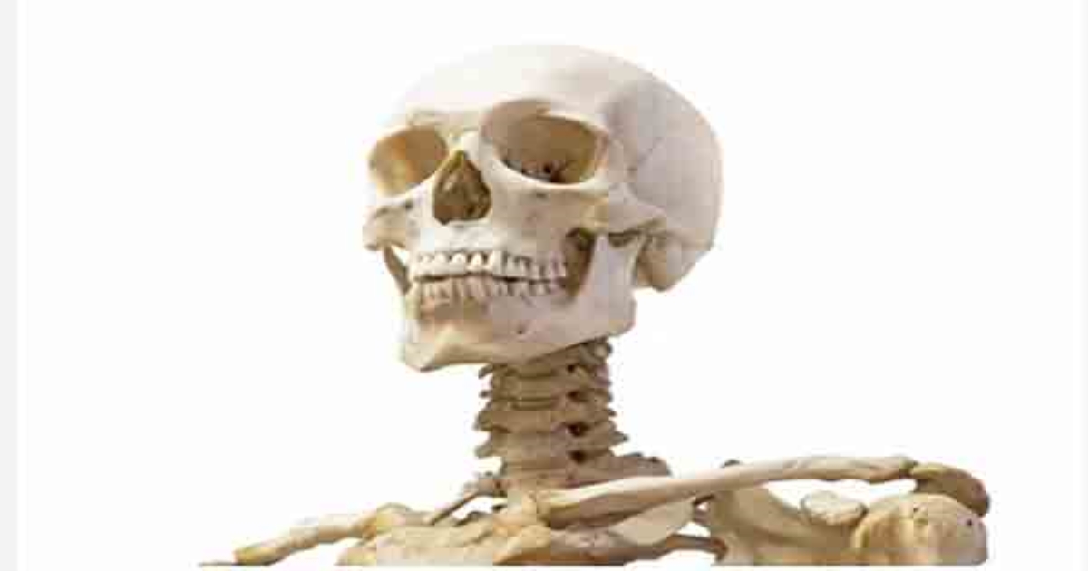 ai-recreates-900-year-old-face-uk-scientists