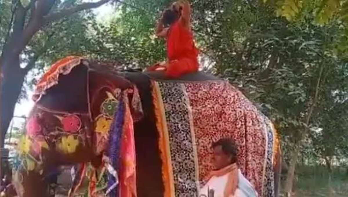 baba-ramdev-fall-from-elephant-while-doing-yoga