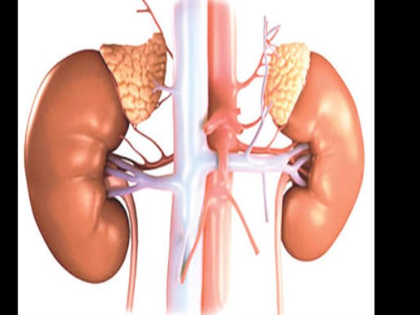 how to aviod kidney failiure
