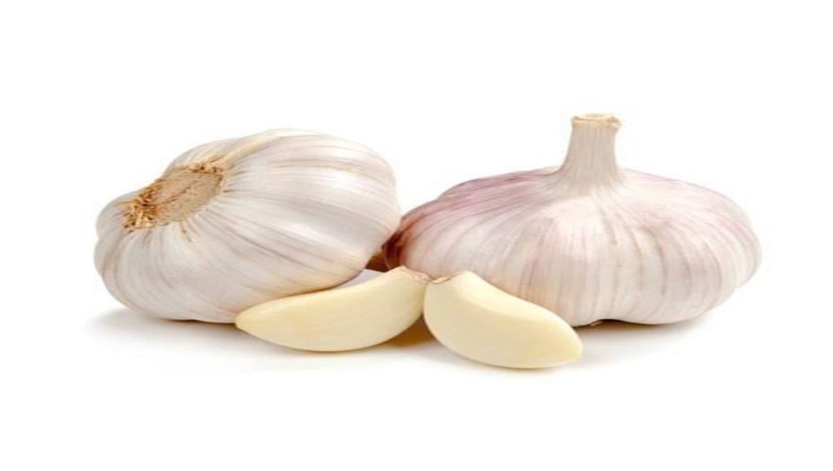 garlic-tips