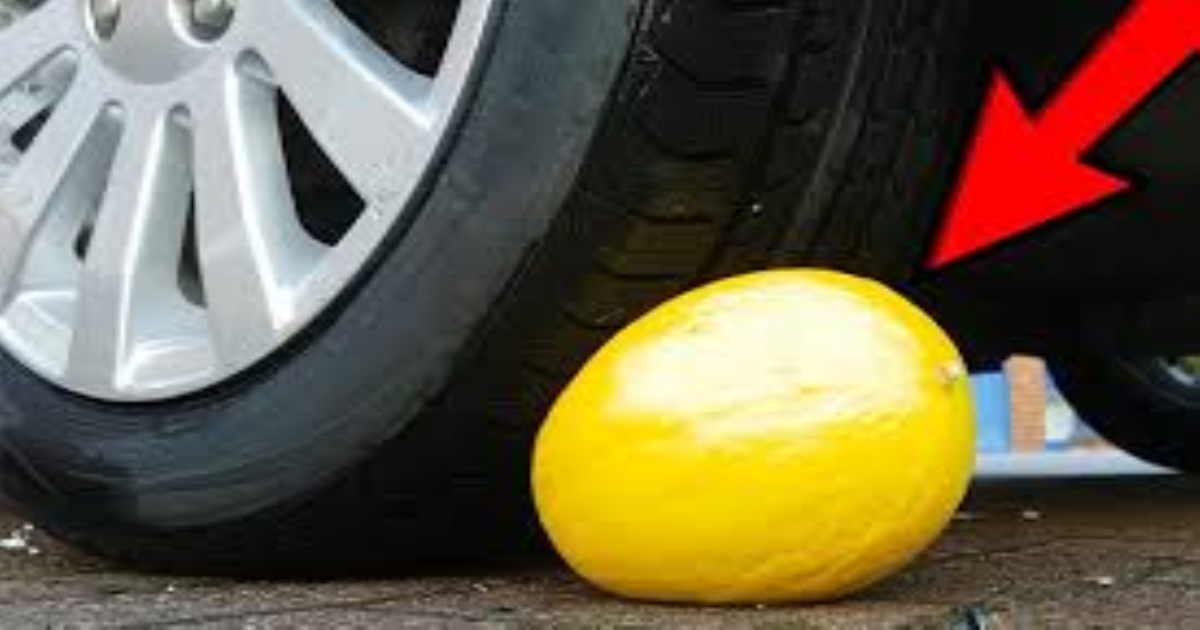 lemon-under-vehicle-tyres-reason