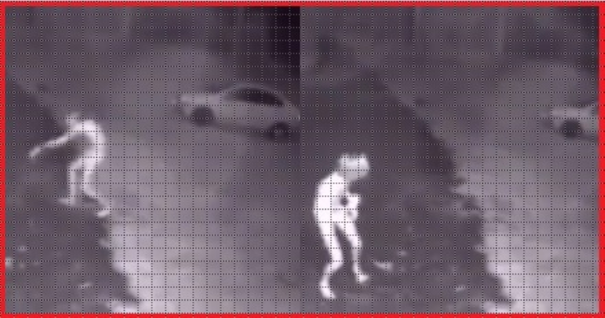 A video of an alien roaming around the house has gone viral
