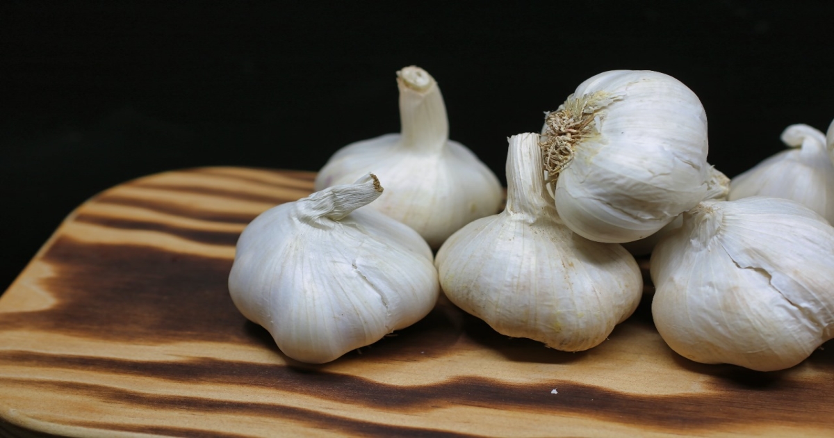 Benefits of eating garlic 